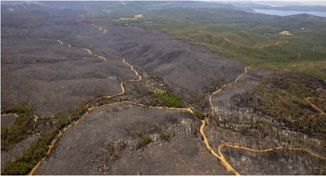 Marmaris'teki yangın devam ediyor: Yanan orman havadan böyle görüntülendi - Sayfa 9