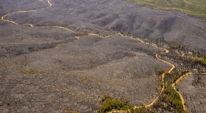 Marmaris'teki yangın devam ediyor: Yanan orman havadan böyle görüntülendi - Sayfa 7