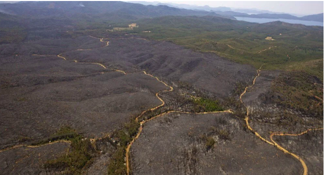 Marmaris'teki yangın devam ediyor: Yanan orman havadan böyle görüntülendi - Sayfa 8