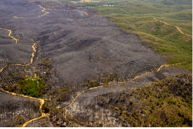 Marmaris'teki yangın devam ediyor: Yanan orman havadan böyle görüntülendi - Sayfa 13