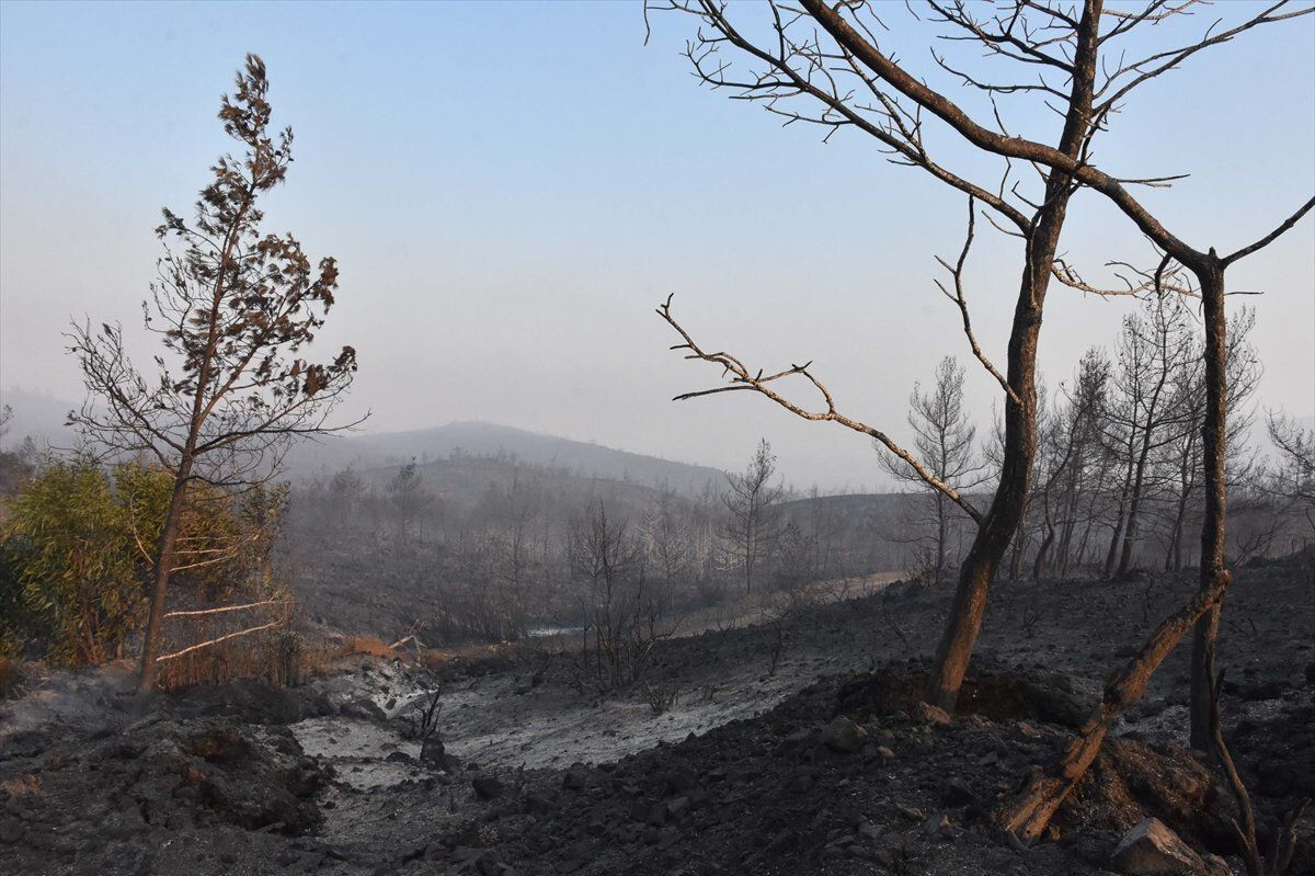 Marmaris'teki orman yangınına müdahale sürüyor: İşte dakika dakika gelişmeler... - Sayfa 9