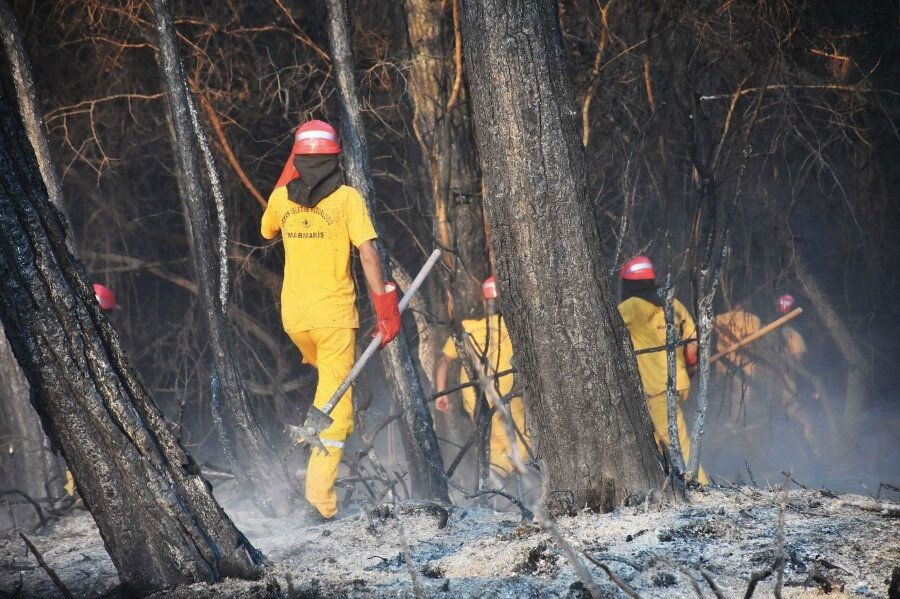 Marmaris yangınında sabotaj ihtimali güçleniyor: Böyle bir ortamda yangın çıkmaz! - Sayfa 6