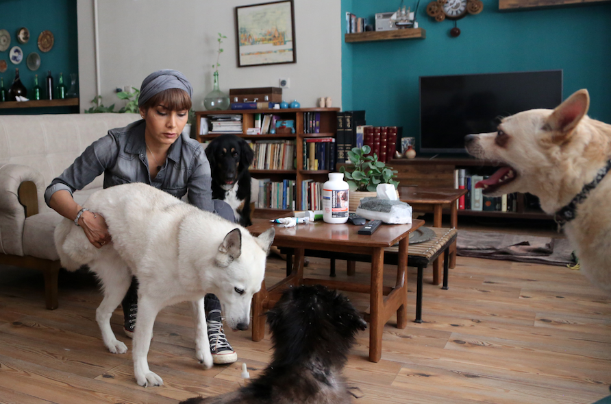 İran'da oto kaplama ve modifiye işi yapan "kadın usta" görenleri şaşırtıyor - Sayfa 9