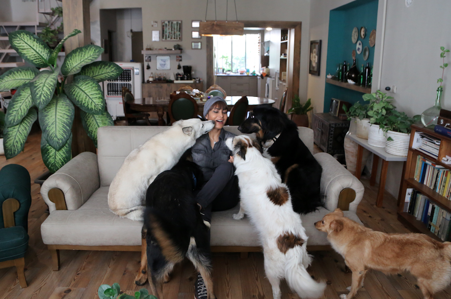 İran'da oto kaplama ve modifiye işi yapan "kadın usta" görenleri şaşırtıyor - Sayfa 7