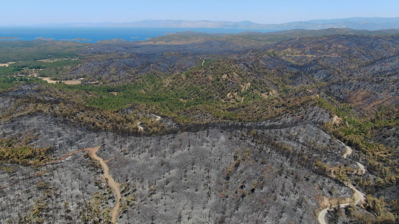 Marmaris'te yanan ormanlık alan havadan görüntülendi! İşte yürek dağlayan görüntüler - Sayfa 5