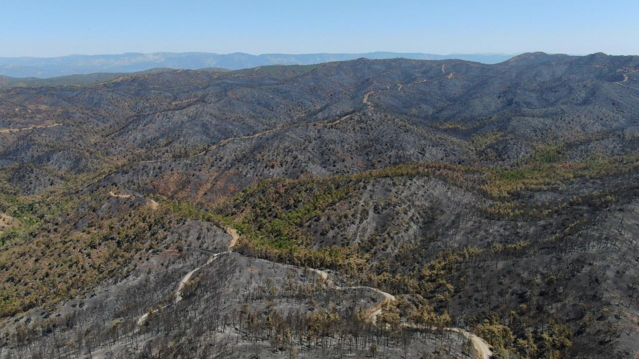 Marmaris'te yanan ormanlık alan havadan görüntülendi! İşte yürek dağlayan görüntüler - Sayfa 6