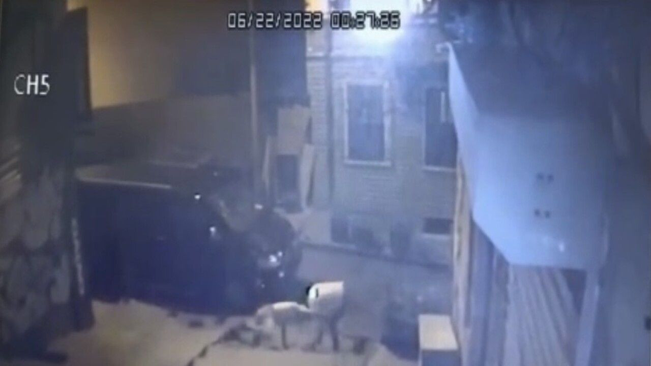 Tekme, yumruk, sopa ve falçatanın havada uçuştuğu kavga anı kamerada! - Sayfa 5