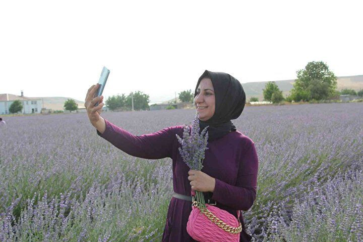 Siirt'e ekonomiye katkısı sebebiyle desteklenen lavanta ekimi yeni yatırım alanı oldu - Sayfa 5