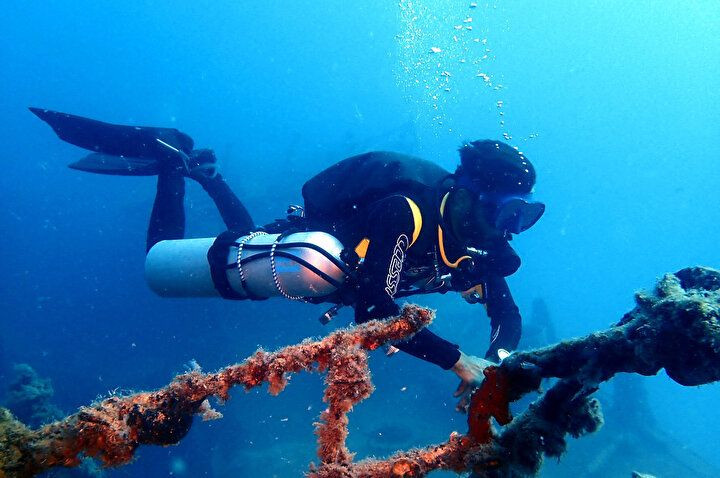 Gözle görülmeyen deniz canlılarının muhteşem görselleri büyüledi! - Sayfa 11