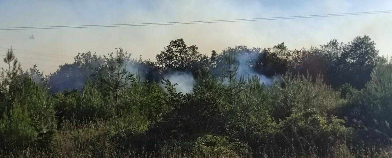 Çanakkale Biga'da orman yangını! Müdahale havadan ve karadan devam ediyor - Sayfa 6