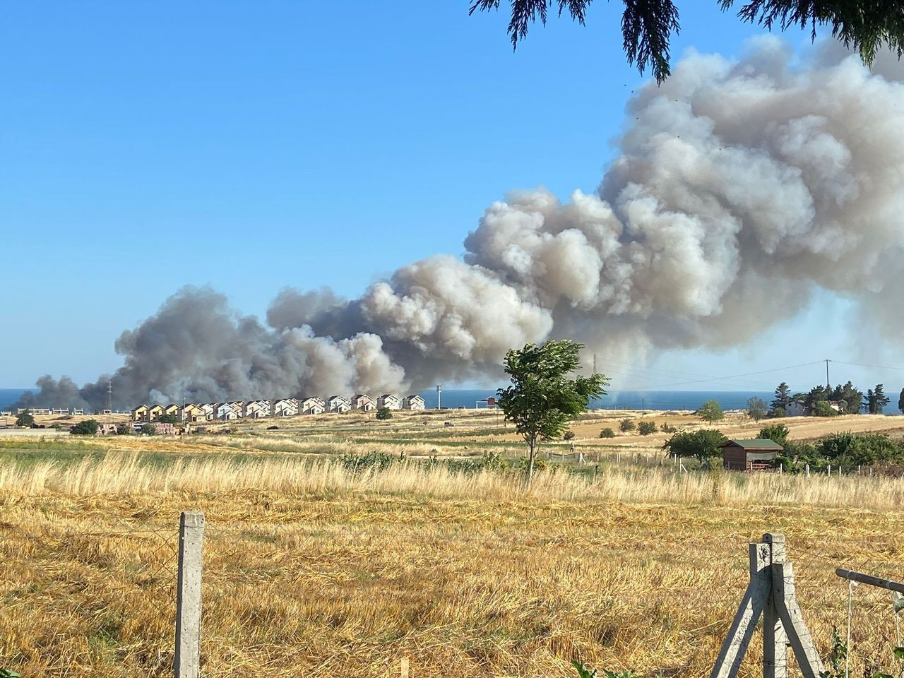Silivri’de 150 dönümlük buğday tarlası alev alev yandı - Sayfa 5