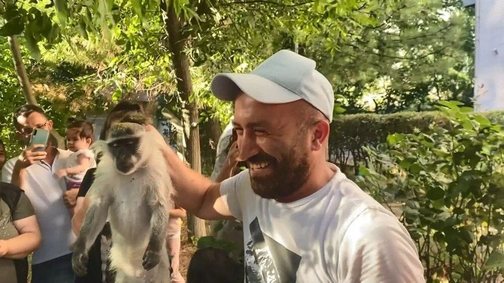 Bağcılar'da maymun şaşkınlığı: 'Gel kızım gel' diyerek muz uzattılar! - Sayfa 8