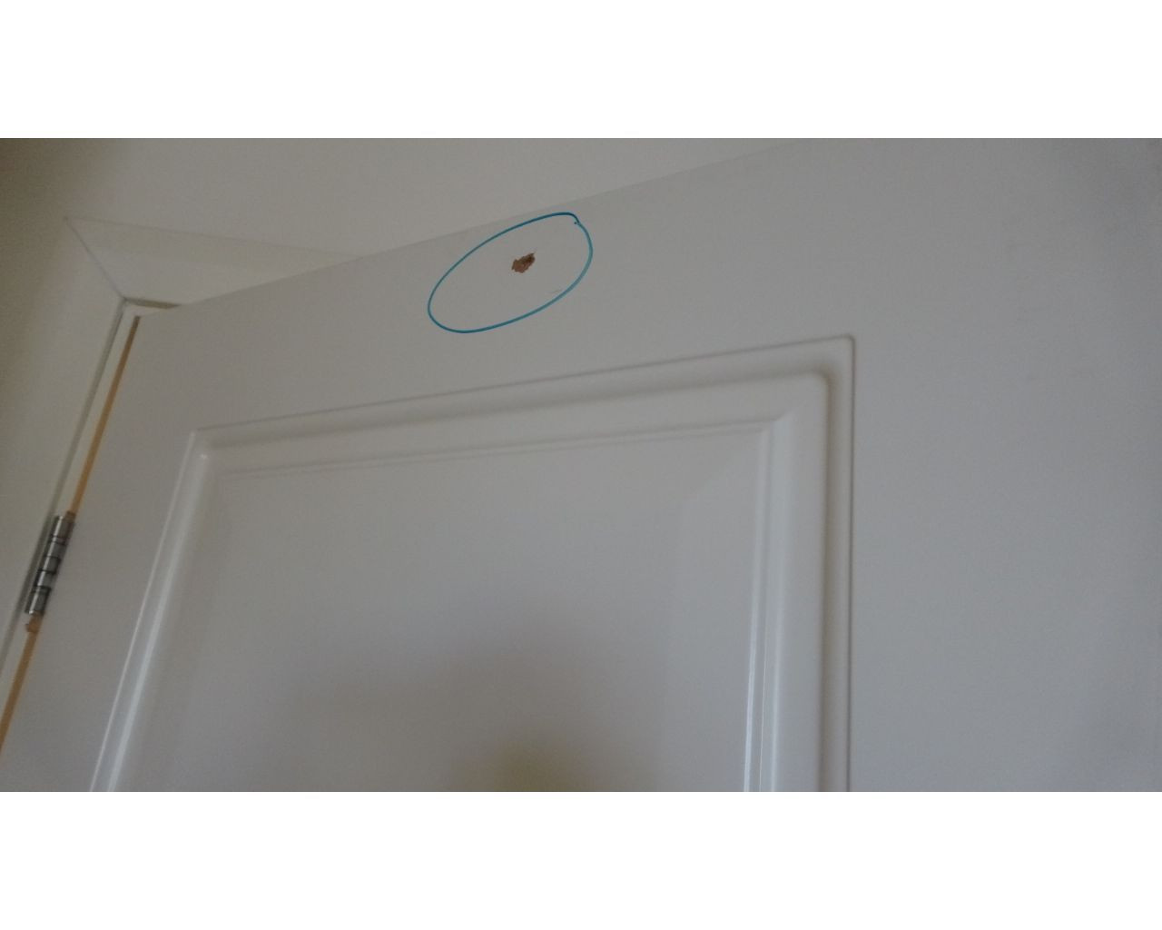 Cumhurbaşkanı hedef alınmıştı! Marmaris'teki otelde 15 Temmuz gecesinin çatışma izleri hala duruyor - Sayfa 6