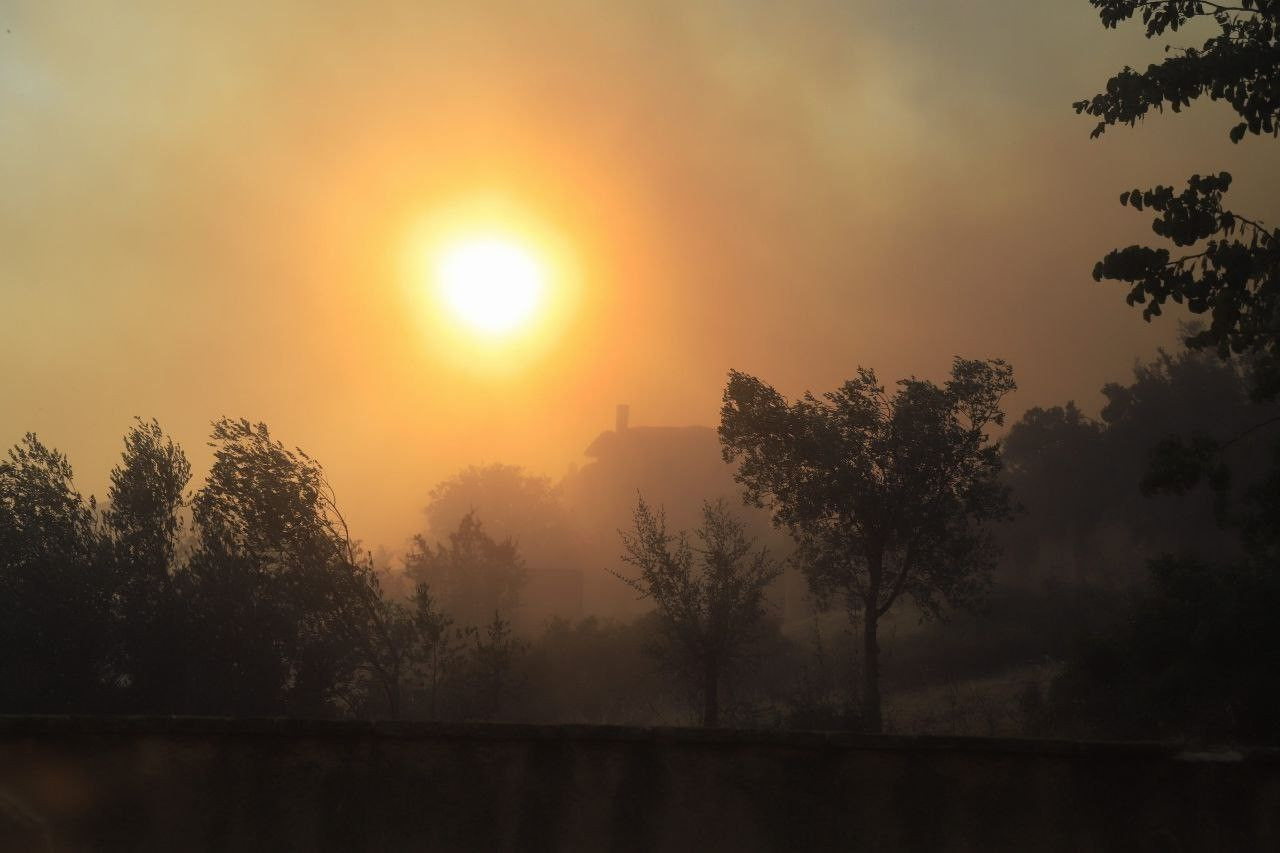 Atina'da orman yangını! Alevler evlere sıçradı, çocuk hastanesi ve yerleşim yerleri tahliye edildi - Sayfa 9
