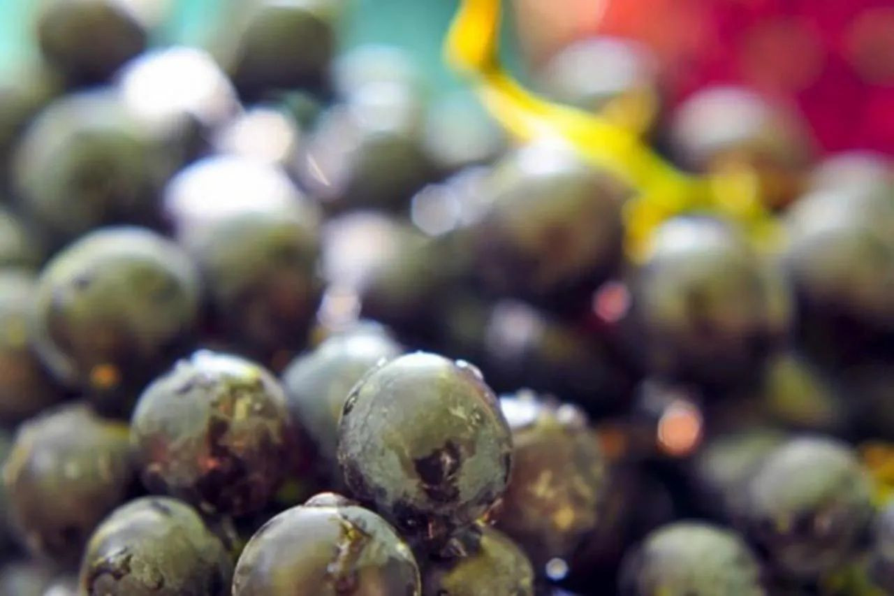 Bu Besinler Sigara Bıraktırıyor! Ciğerlerinizi Baştan Aşağı Temizleyen Besinler... - Sayfa 9