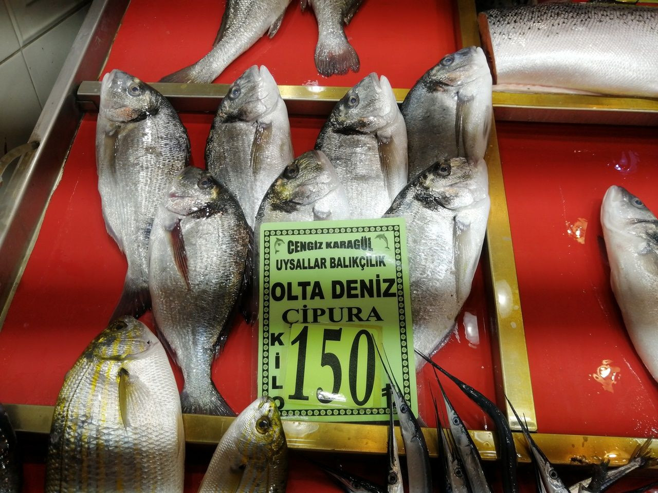 Sardalya'nın fiyatı yüzde 30 oranında düştü - Sayfa 5