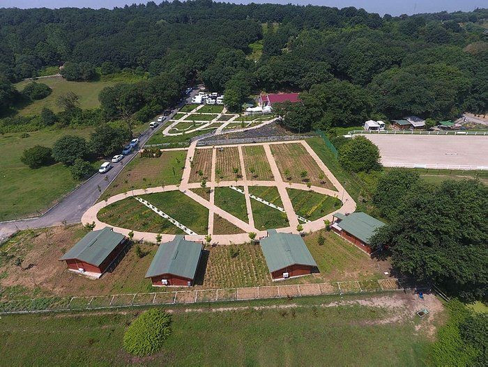 41 kere maşallah... Eyüpsultan'da 41 eserin kurdelesi bugün kesilecek: Cumhurbaşkanı Erdoğan da katılacak! - Sayfa 11