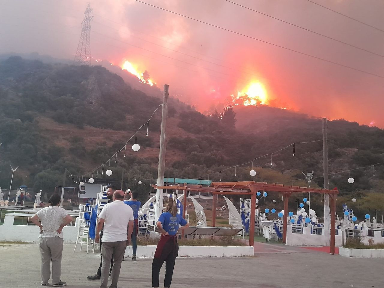 Söke’de orman yangını! Alevler kısa sürede yayıldı - Sayfa 6