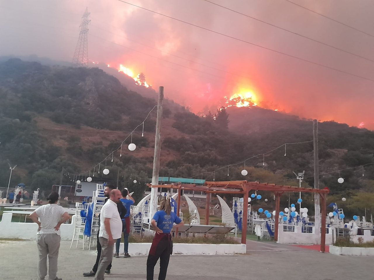 Söke’de orman yangını! Alevler kısa sürede yayıldı - Sayfa 5