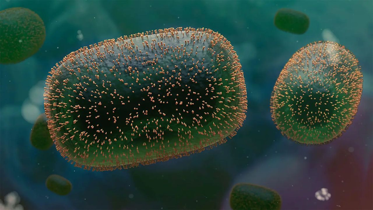 DSÖ açıkladı! En fazla maymun çiçeği vakası o ülkede görüldü - Sayfa 5