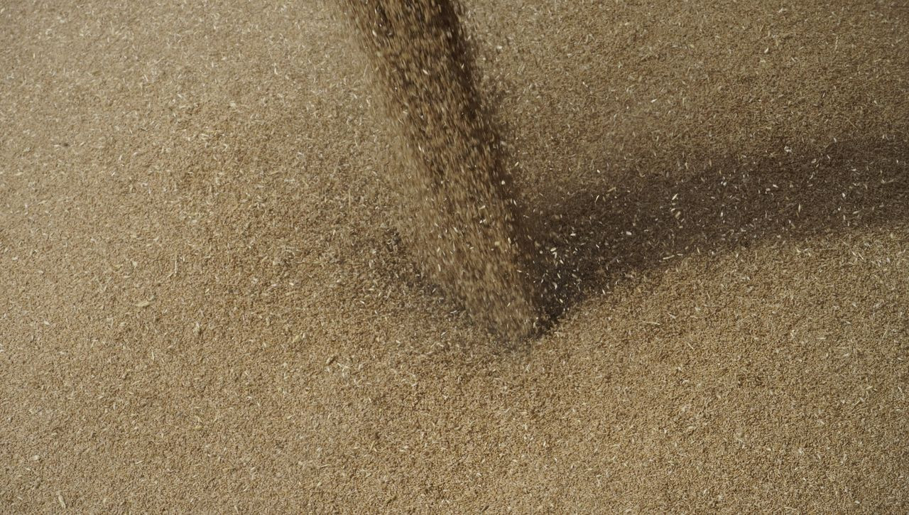 Tahıl gemileri Rusya limanında hazırlanıyor! Denetimi Türk yetkililer yapacak - Sayfa 7