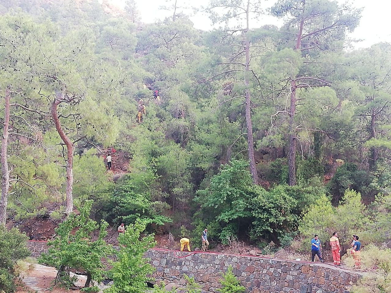 Marmaris'ten sevindiren haber! Orman yangını kontrol altına alındı - Sayfa 9