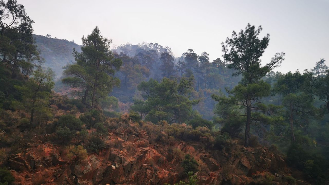 Marmaris'ten sevindiren haber! Orman yangını kontrol altına alındı - Sayfa 3