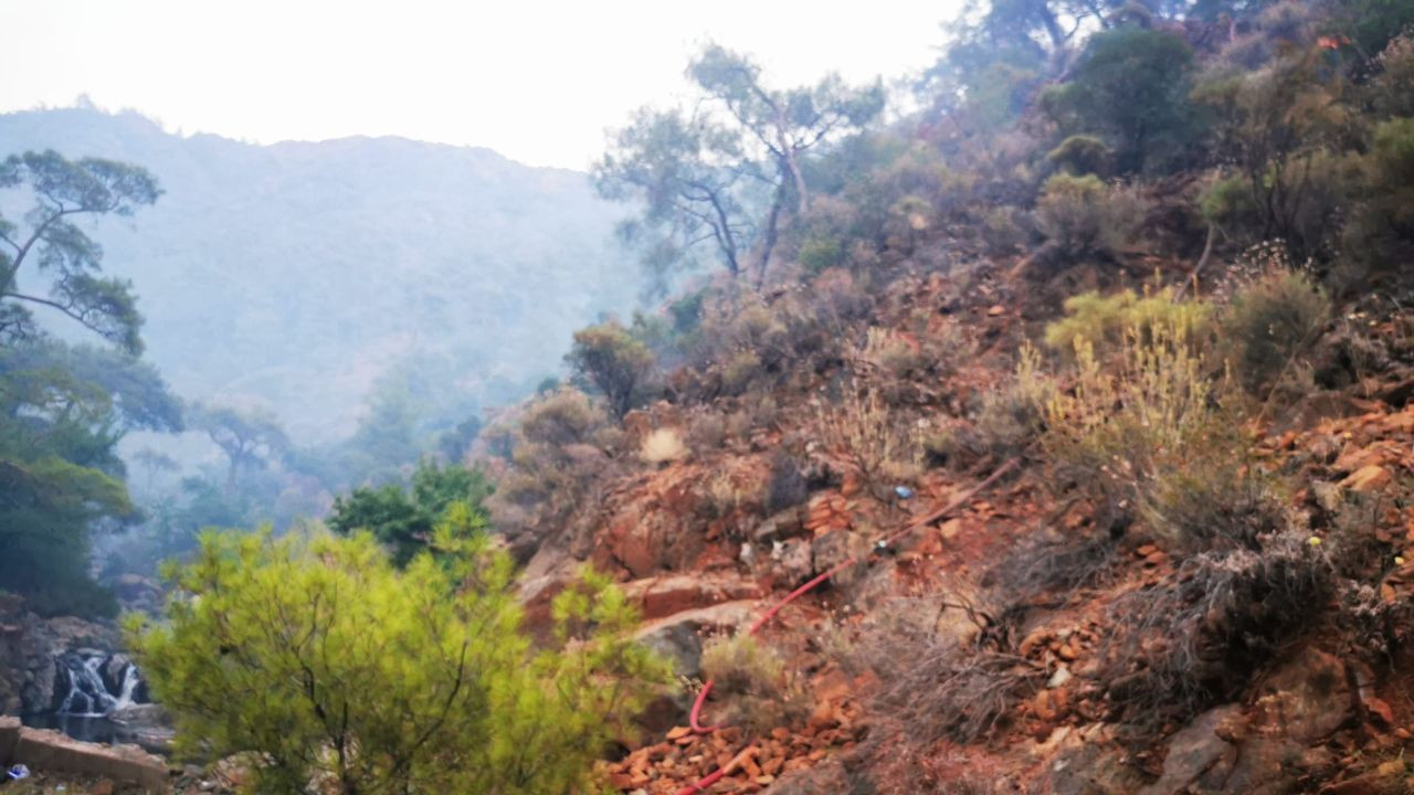 Marmaris'ten sevindiren haber! Orman yangını kontrol altına alındı - Sayfa 4