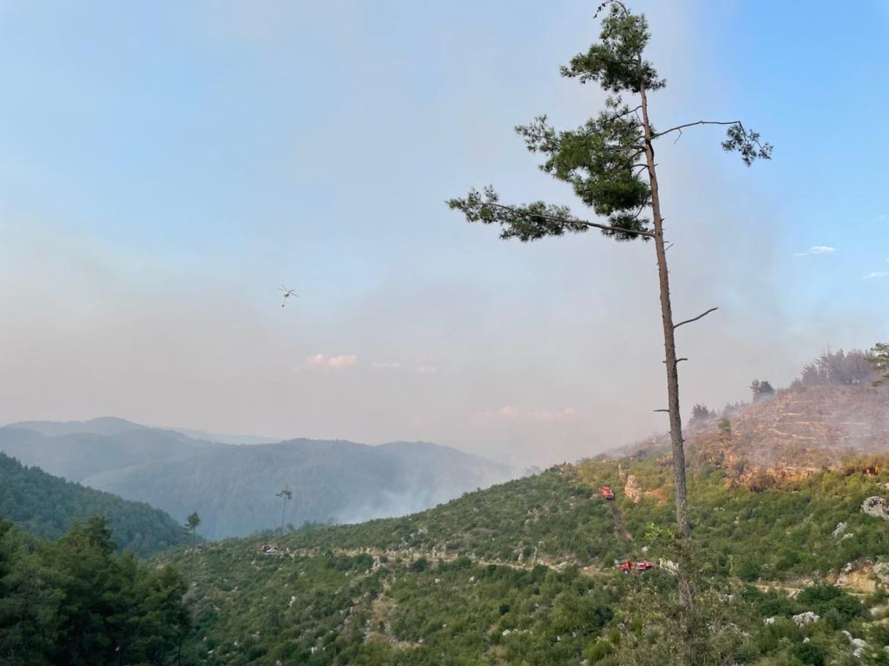 Burdur'da orman yangını! Karadan ve havadan müdahale ediliyor - Sayfa 5