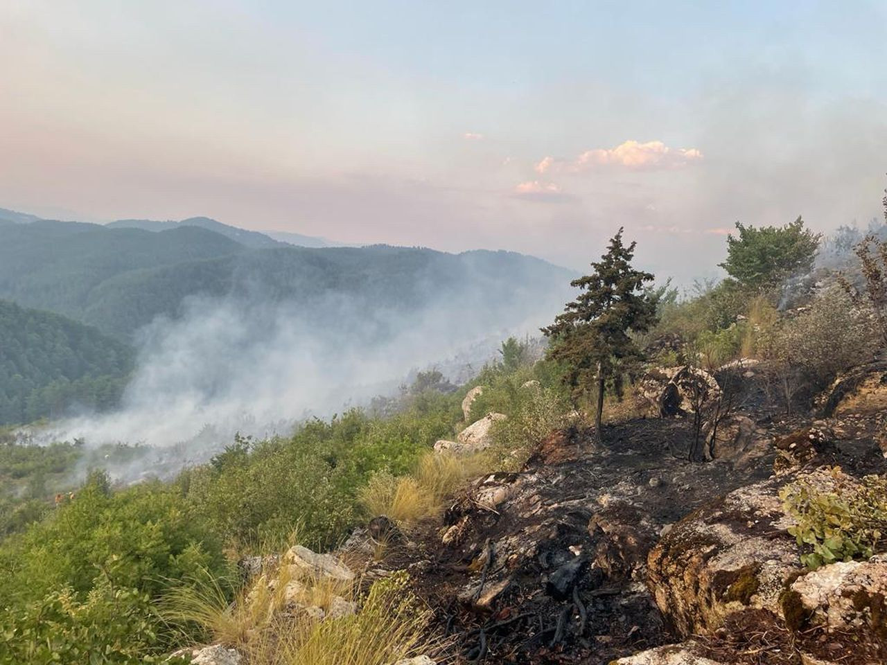 Burdur'da orman yangını! Karadan ve havadan müdahale ediliyor - Sayfa 9