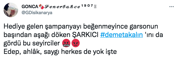 Ünlü isimler sessiz kalmadı! Şampanyayı garsonun kafasına döken Demet Akalın'a tepki yağdı - Sayfa 16