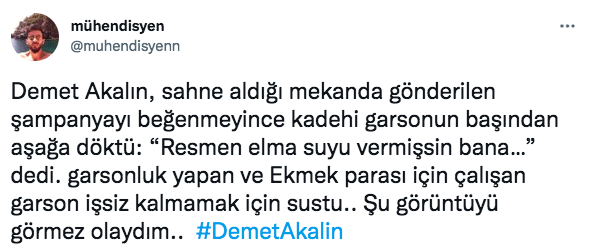 Ünlü isimler sessiz kalmadı! Şampanyayı garsonun kafasına döken Demet Akalın'a tepki yağdı - Sayfa 12