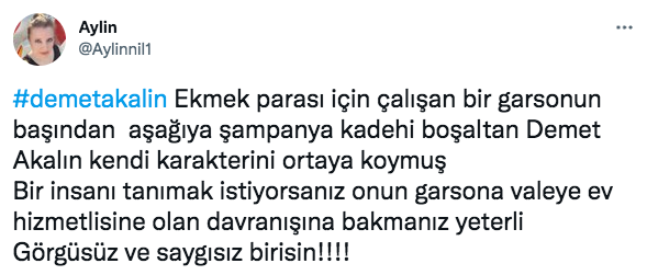 Ünlü isimler sessiz kalmadı! Şampanyayı garsonun kafasına döken Demet Akalın'a tepki yağdı - Sayfa 24