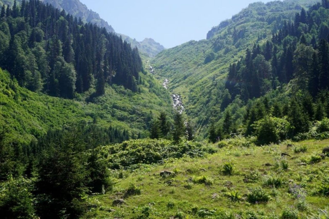 Yaylaları, şelaleleri ve lezzetleriyle Artvin'de görülmesi gereken yerler! - Sayfa 12