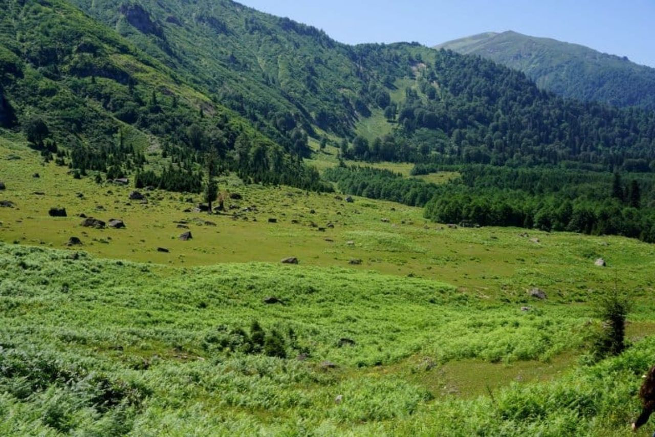 Yaylaları, şelaleleri ve lezzetleriyle Artvin'de görülmesi gereken yerler! - Sayfa 13