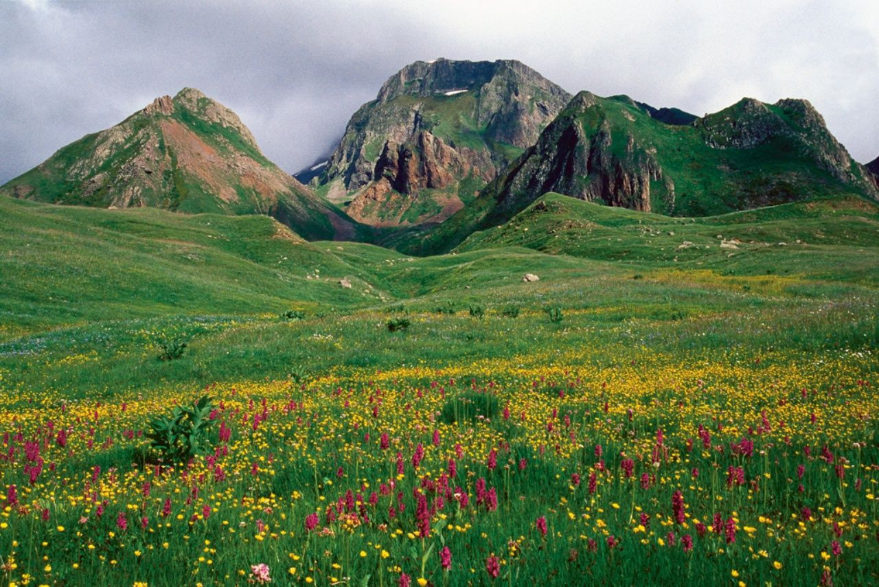 Yaylaları, şelaleleri ve lezzetleriyle Artvin'de görülmesi gereken yerler! - Sayfa 5