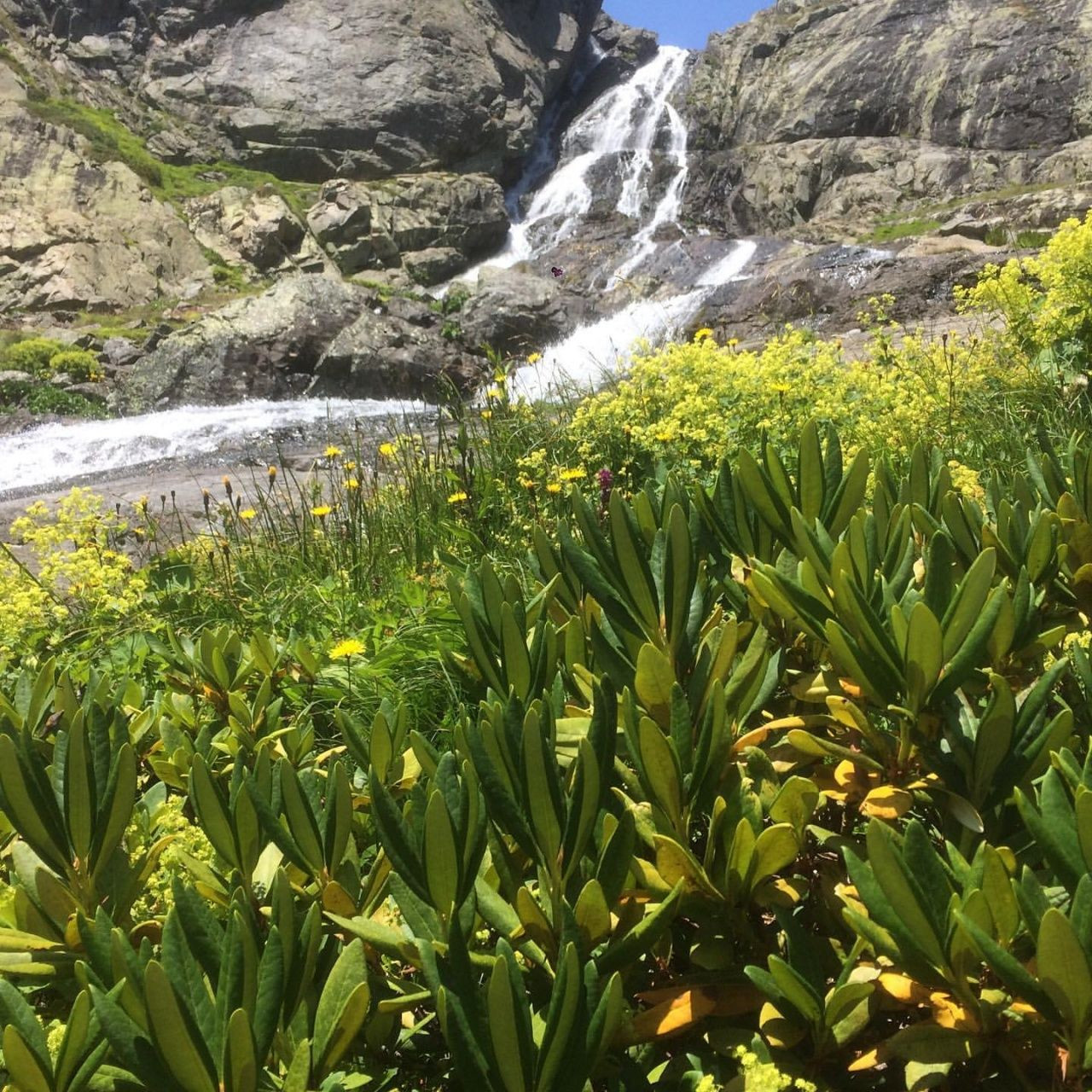 Yaylaları, şelaleleri ve lezzetleriyle Artvin'de görülmesi gereken yerler! - Sayfa 6