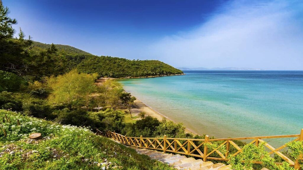 Efeler şehri Aydın’ın tarih sahnesine çıkan yerleri ve yöresel lezzetleri bu listede buluştu - Sayfa 8