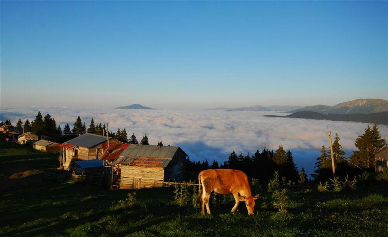 Eşsiz Karadeniz havası ve yemyeşil doğasıyla Giresun gezi listesi ve yöresel lezzetleri! - Sayfa 4