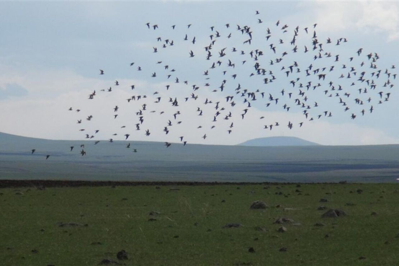 Güneşin ilk doğduğu, karın ilk yağdığı şehir Kars’ta gezilecek yerler ve yöresel lezzetler listesi! - Sayfa 22