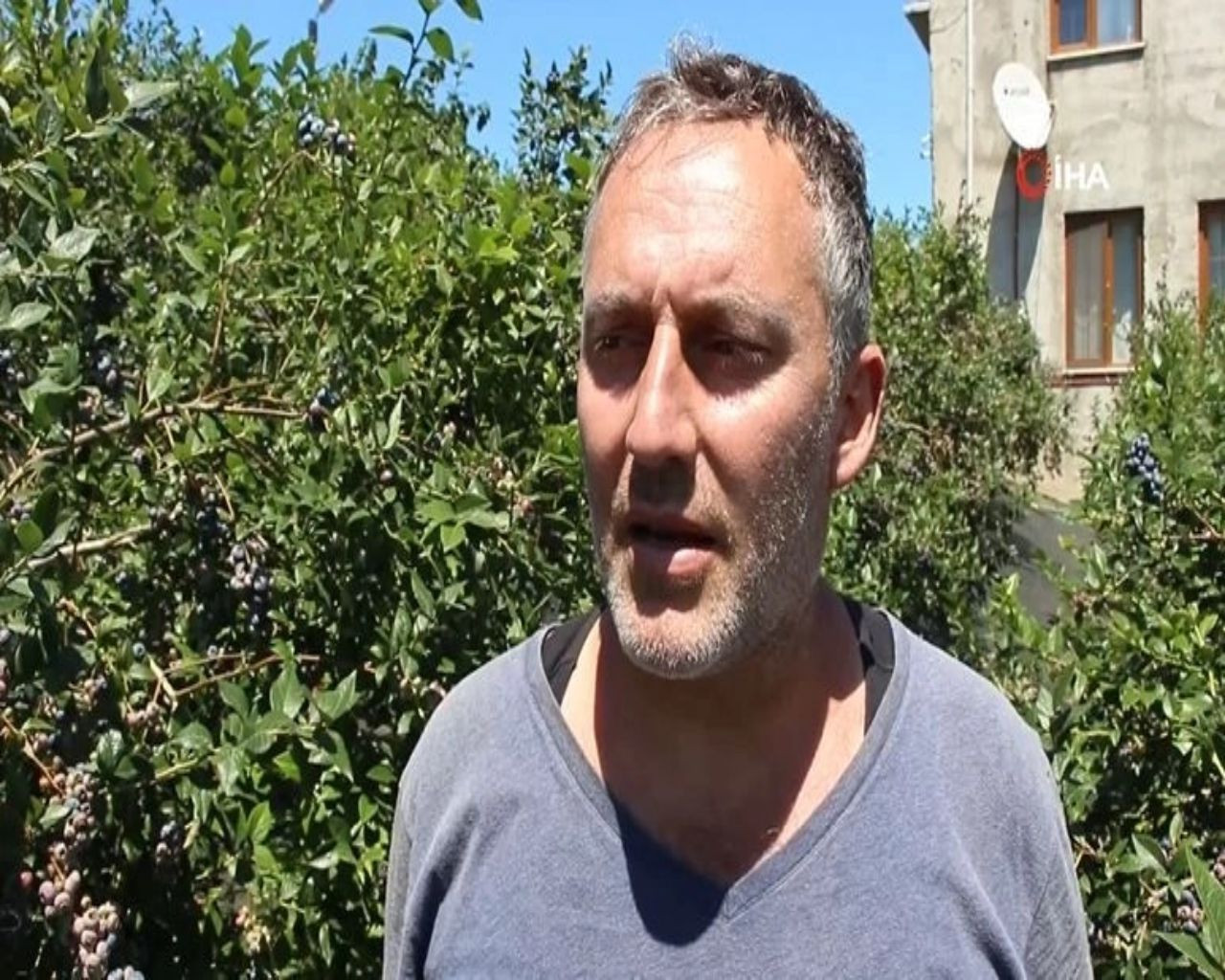 İnternette kilosu 150 TL'den satılıyor, yılda 300 bin TL kazandırıyor! Üreticisi paraya para demiyor - Sayfa 7