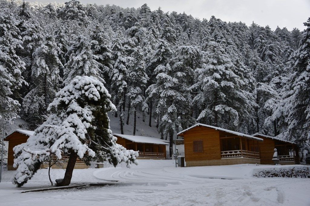 Çini sanatının ana yurdu Kütahya’yı adım adım gezdiren rehber! - Sayfa 14