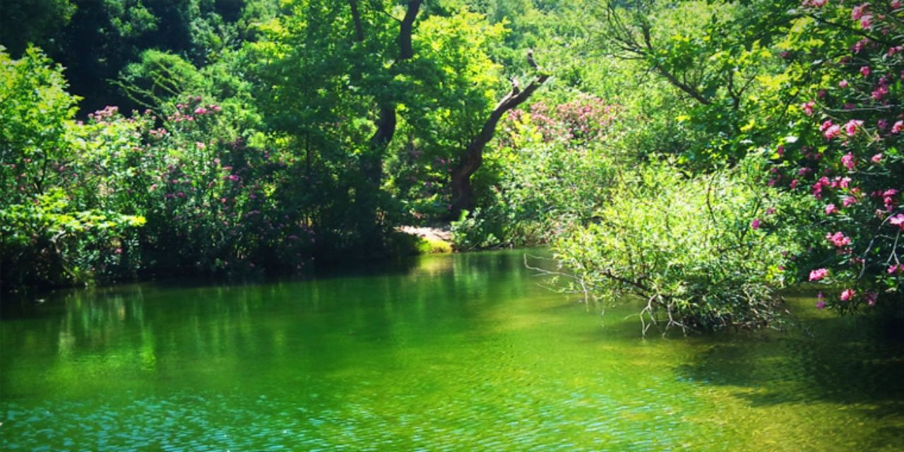 Yemyeşil doğası, masmavi plajlarıyla Muğla gezi listesi ve yöresel lezzetleri - Sayfa 18