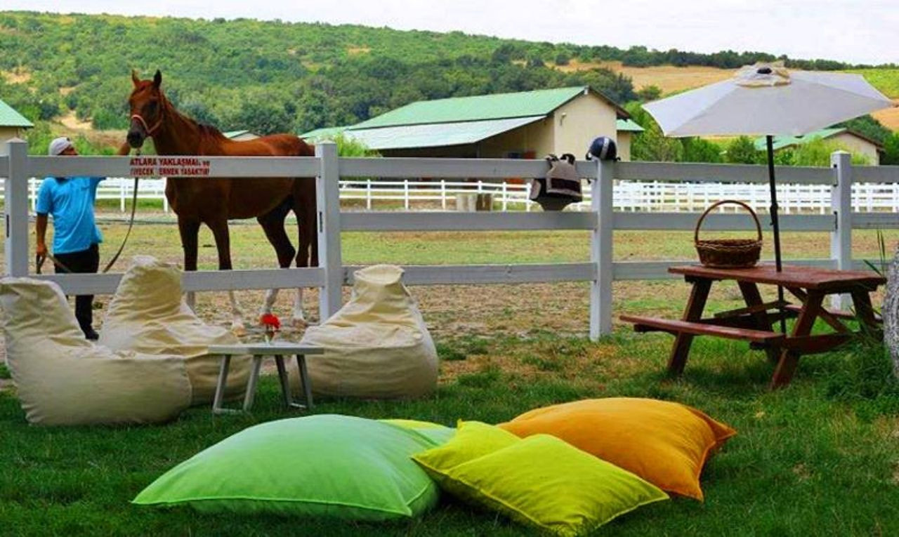 Türkiyenin en güzel liman kenti Tekirdağ’da gezilecek yerler ve yöresel lezzetler listesi - Sayfa 23