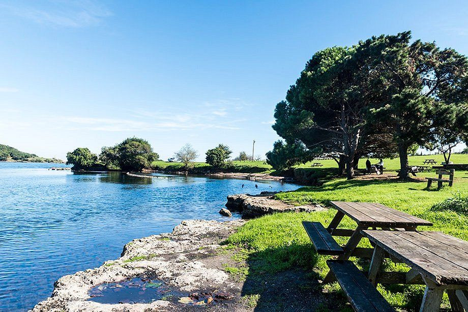 Deniz manzarası, doğal yaşam alanları ve kültürel mirasıyla Sinop gezi listesi ve yöresel lezzetleri - Sayfa 15