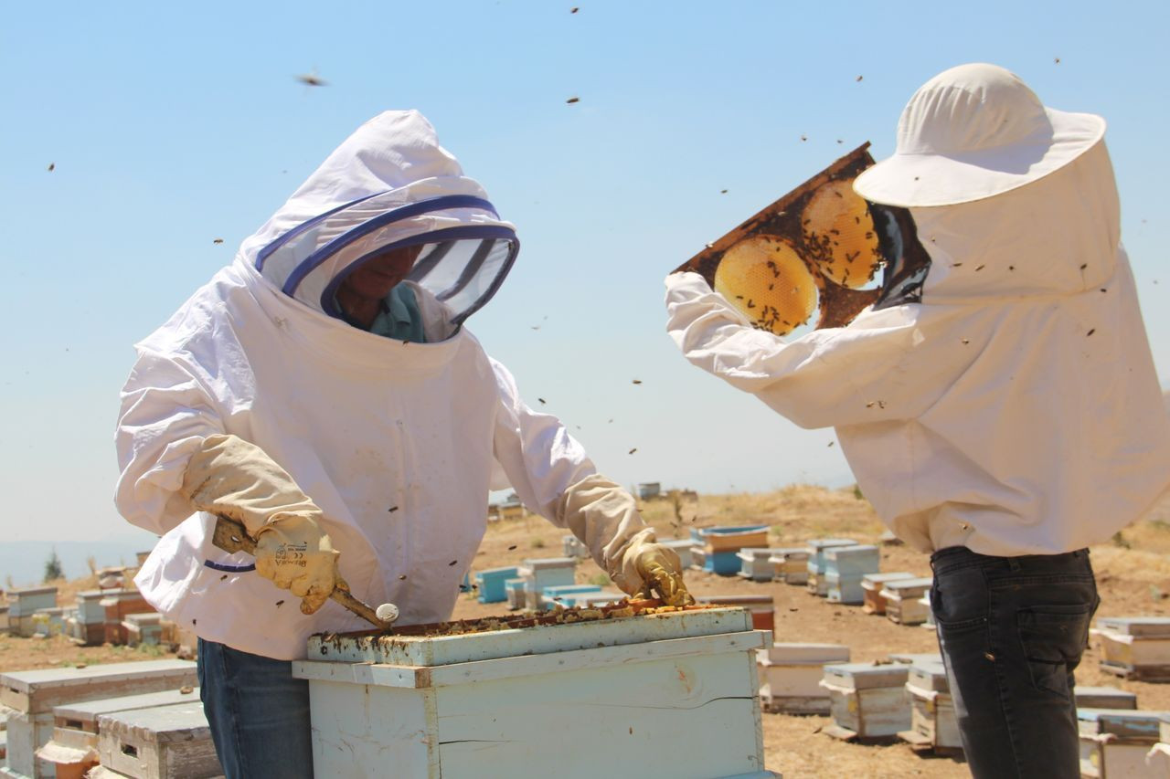 İklim değişikliği florayı etkiledi, arıcılar mağdur oldu - Sayfa 6