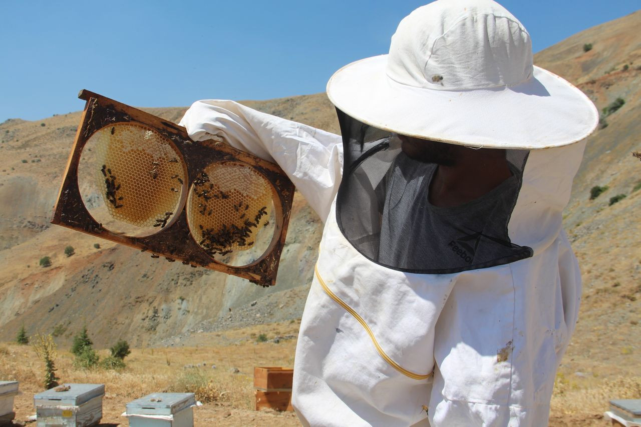 İklim değişikliği florayı etkiledi, arıcılar mağdur oldu - Sayfa 7