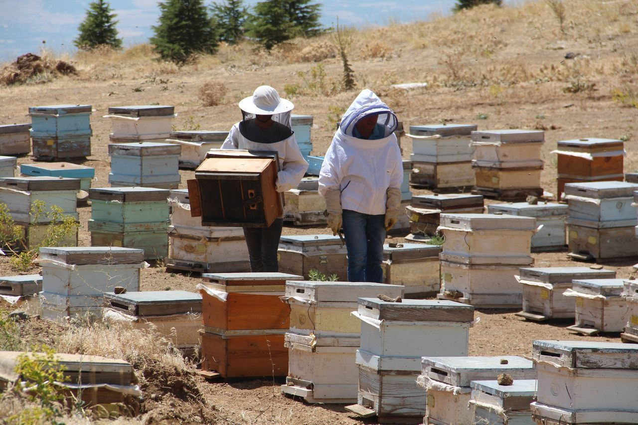 İklim değişikliği florayı etkiledi, arıcılar mağdur oldu - Sayfa 9