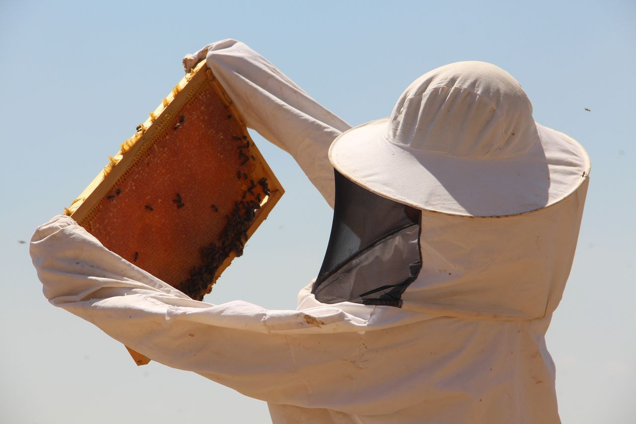 İklim değişikliği florayı etkiledi, arıcılar mağdur oldu - Sayfa 10