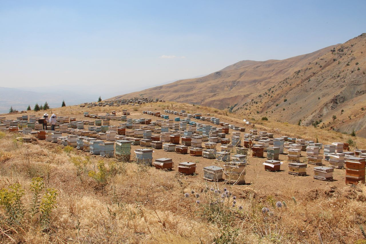 İklim değişikliği florayı etkiledi, arıcılar mağdur oldu - Sayfa 11